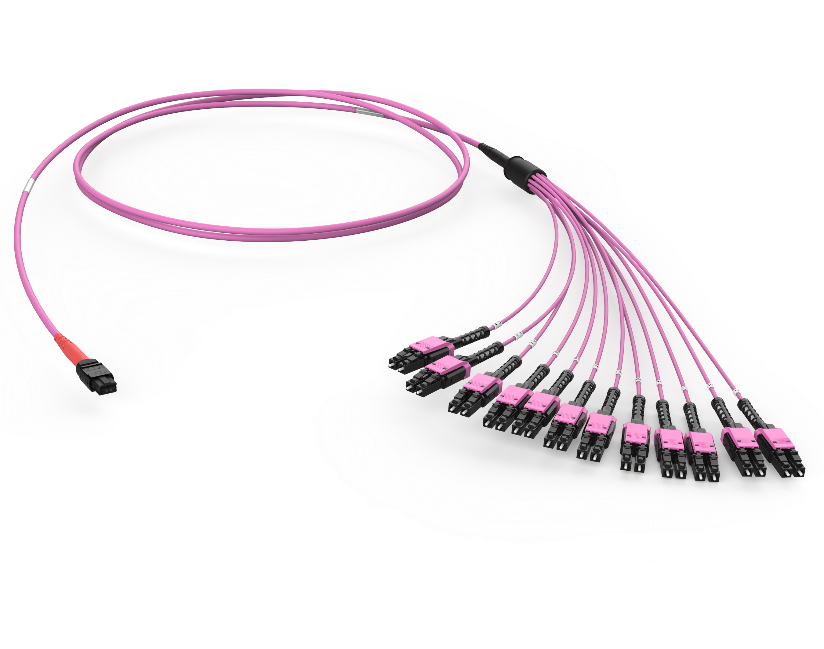 Оптическая соединительная сборка 24 x 50/125 OM4, MTP(24)f/LC Duplex, Push-Pull-Boot