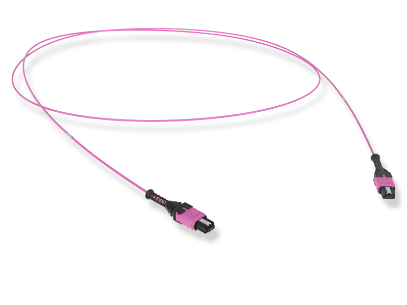 OM4, MTP PRO(12)f/MTP PRO(12)f