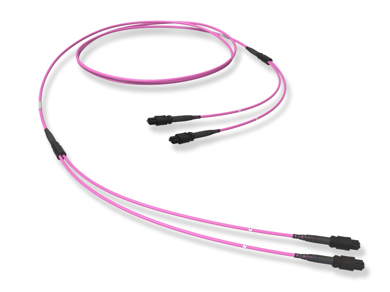 Оптическая соединительная сборка 24 x 50/125 OM4, MTP(12)m/MTP(12)m