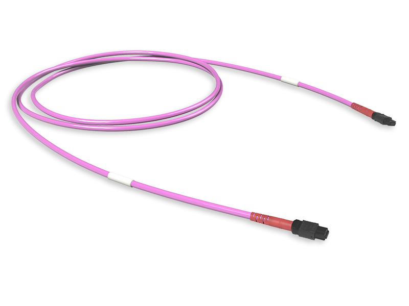 Оптическая магистральная сборка 24 x 50/125 OM4+, MTP(24)f/MTP(24)f