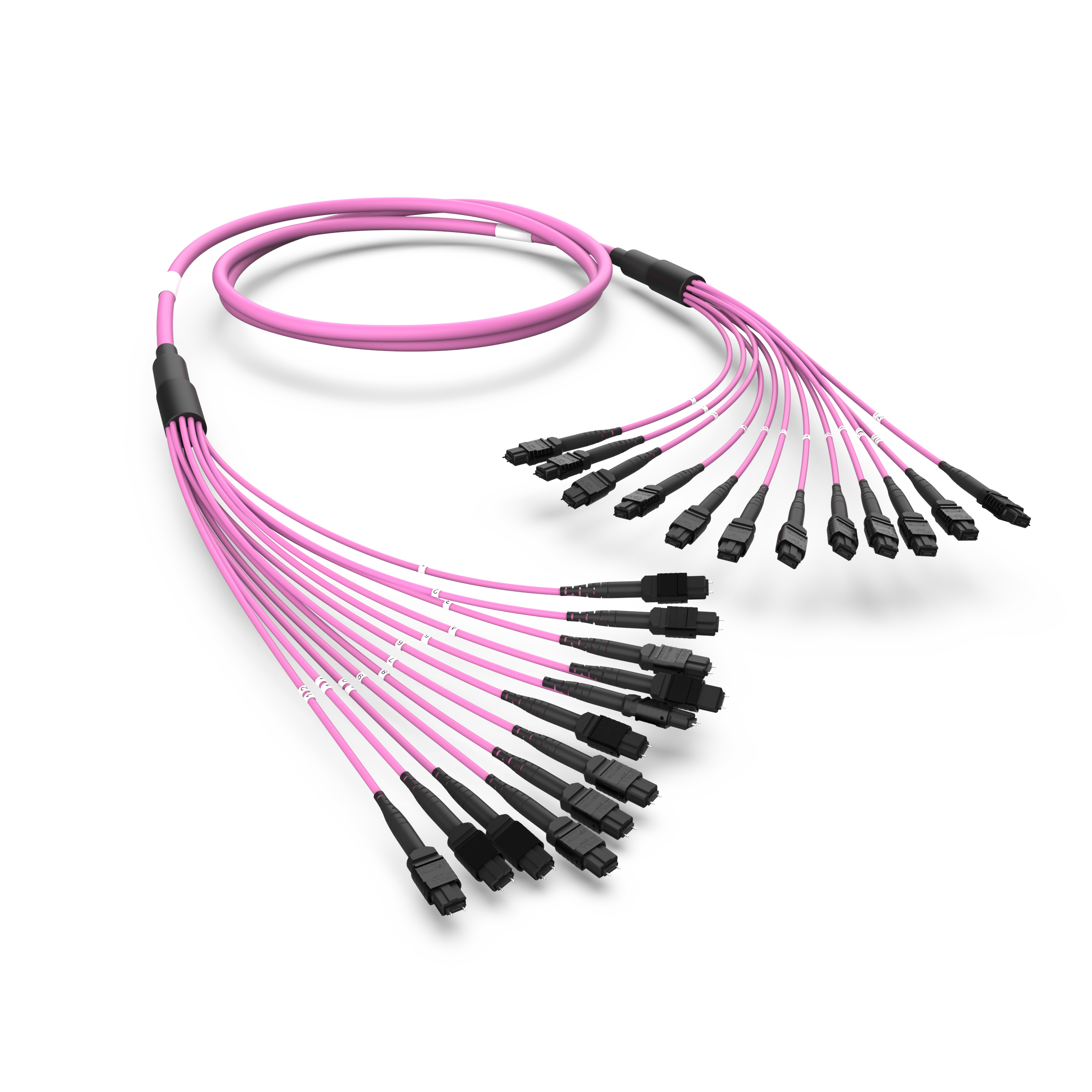 Оптическая магистральная сборка MTP(12)/MTP(12), 144ОВ MM50/125 OM4