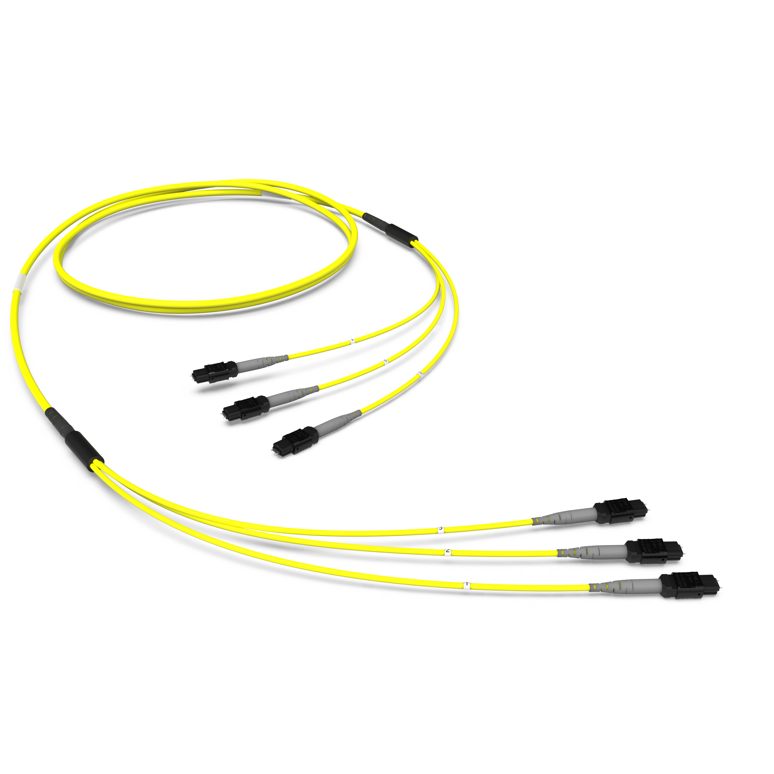 Оптическая магистральная сборка MTP(8)/MTP(8), 24ОВ SM9/125 OS2