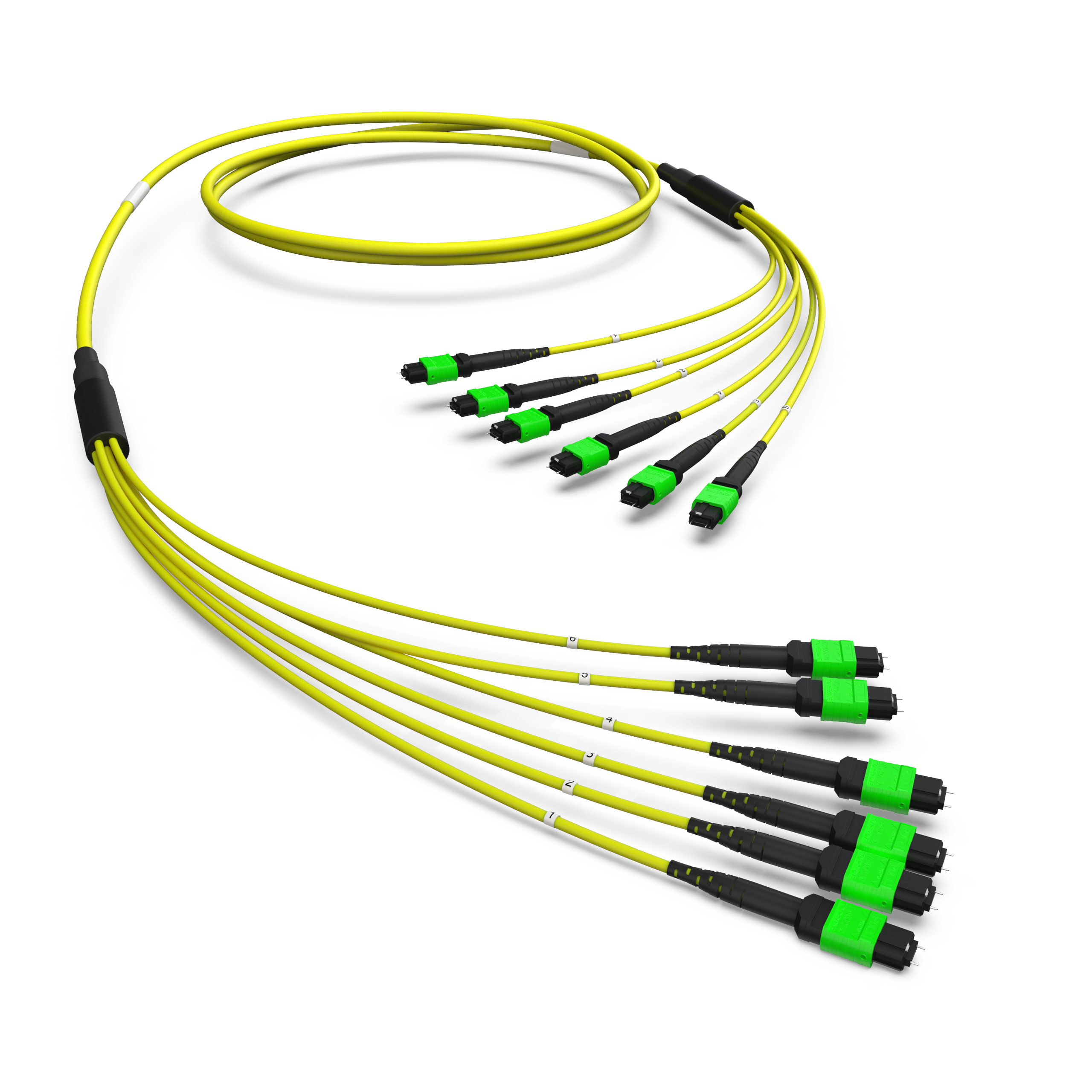 Оптическая магистральная сборка MTP(12)/MTP(12), 72ОВ SM9/125 OS2