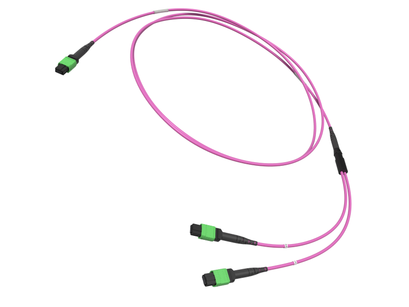 MTP12_2xMTP12 400G OSFP_QSFP112 fiber optic patch cord