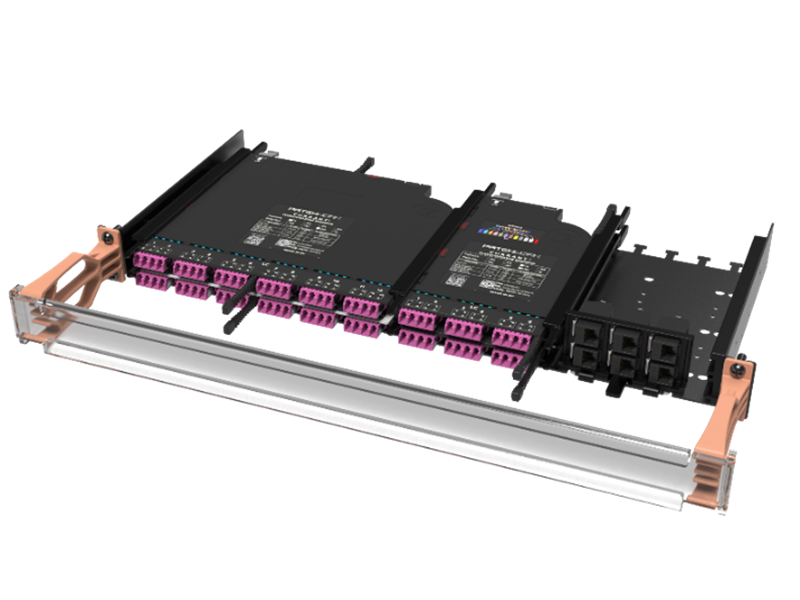 Cercis Fixed 1HU